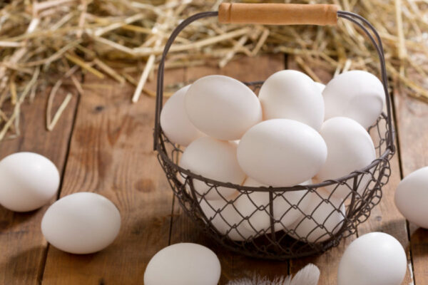 7-wellness-advantages-of-eating-eggs-–-goodnet-–-google