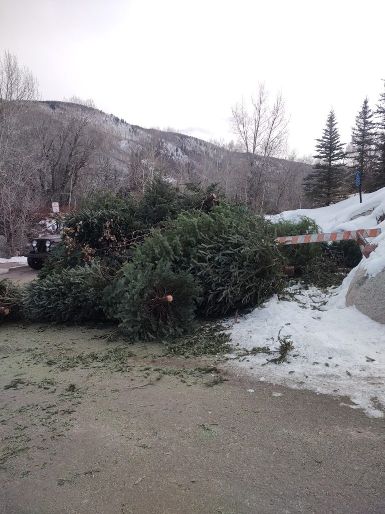 aspen-follows-annual-christmas-tree-descend-off-with-additional-recycling-initiatives-–-google