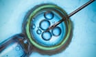 scientists-bound-step-closer-to-creating-ivf-eggs-from-pores-and-skin-cells-–-guardian